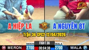 Trận 36 CPC2 12/04/2026 - Cú Đưa Đầu Bướm Đá 2 Chân Bưng Ra