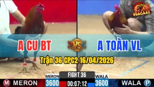 Trận 36 CPC2 16/04/2026 - Xanh Nạp Lùa Đâm Tịch Đỏ Ói Sau 2 Tay Nước