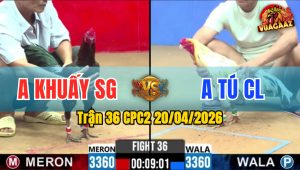 Trận 36 CPC2 20/04/2026 - Bướm Quá Tốc Độ 2 Tay Nước Điều Hết Đứng