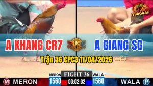 Trận 36 CPC3 11/04/2026 - K CÓ CƠ HỘI NÀO CHO KHÉT KHI ĐIỀU A KHANG QUÁ HAY