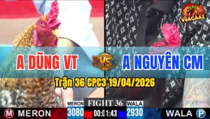 Trận 36 CPC3 19/04/2026 - Xanh Phóng Lúng Và Cái Kết Đỏ Hư Hình Hết Cứu