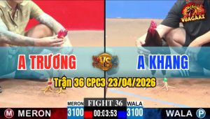 Trận 36 CPC3 23/04/2026 - Gà Điều Cọp Canh Nạp Nguy Chỗ Hiểm Lụm Lúa