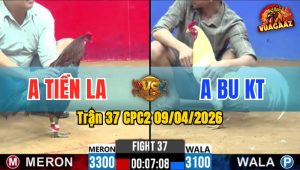 Trận 37 CPC2 09/04/2026 - Bướm Phóng Ngông Điều Đá Hết Sữa