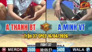 Trận 37 CPC2 16/04/2026 - Bông Đá 3 Chân Điều Cấm Đầu Ói Chết