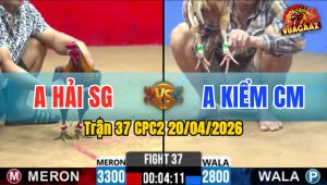 Trận 37 CPC2 20/04/2026 - Quá Đẳng Cấp Cho Idol Két Chấp Ngông Lụm Tiền Mau Lẹ