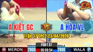 Trận 37 CPC2 23/04/2026 - Gà Úa Dí Bạc Ăn 6 Và Cái Kết