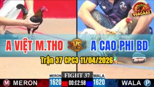 Trận 37 CPC3 11/04/2026 - CÚ KÊU ĐIỀU TỬ