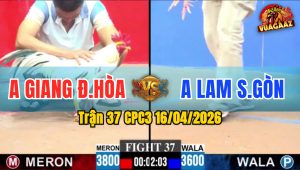 Trận 37 CPC3 16/04/2026 - Đỏ Đâm Vài Chân  Bưng Xanh Ra Sân