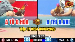 Trận 37 CPC3 18/04/2026 - Gà Cú Kêu Thì Gà Điều Tử