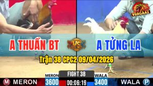 Trận 38 CPC2 09/04/2026 - Úa Quá Nhanh Đá Điều Không Kịp Xoay Trở Hư Hình