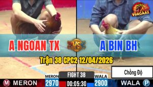 Trận 38 CPC2 12/04/2026 - Xám Chồng Độ Vẫn Ăn Nhanh Lẹ