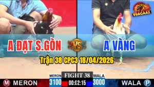 Trận 38 CPC3 18/04/2026 - Gà Bướm Hạ Gà Điều Nhanh Gọn
