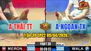 Trận 39 CPC2 09/04/2026 - Bướm Quá Lực Đá Cứu Bỏ Chạy Ngay Giây Cuối Cùng