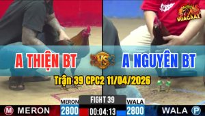 Trận 39 CPC2 11/04/2026 - Xanh Đá Bo Quá Lớn Đỏ Ói Nằm Tại Chỗ