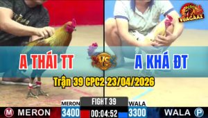 Trận 39 CPC2 23/04/2026 - Gà Que Anh Thái TT Có Chân Xạo Lờ Ăn May