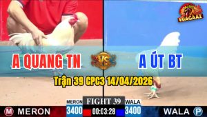 Trận 39 CPC3 14/04/2026 - Xanh Đâm Quá Đâm Đỏ Xỉu Tại Chỗ
