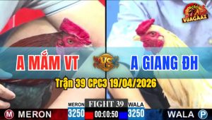 Trận 39 CPC3 19/04/2026 - Xanh Đâm Như Xôn Điều Chết Tại Chỗ Sau 2 Tay Nước