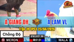 Trận 39 CPC3 23/04/2026 - Gà Đỏ Chồng Độ Lên 3 Quá Đẳng Cấp
