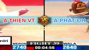 Trận 39 CPC3 31/03/2026 - Gà Xanh Ra Cựa Khủng Hạ Đỏ Tuyệt Đối