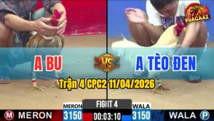 Trận 4 CPC2 11/04/2026 - Úa Đá 3 Chân Bưng Cú Ra Ngoài