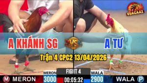 Trận 4 CPC2 13/04/2026 - Bướm Qúa Dẽo Rồng Thắng Điều Nhịp Cuối Cùng