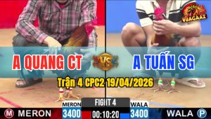 Trận 4 CPC2 19/04/2026 - Đỏ Đâm Như Máy Khâu  Bưng Xanh Gọn Gàng