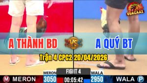 Trận 4 CPC2 20/04/2026 - Đỏ Đá Đúng 3 Chân Xanh Gãy Chân Nằm Tại Chỗ