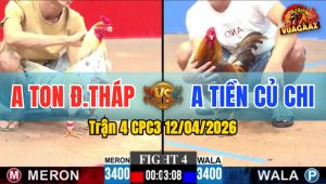 Trận 4 CPC3 12/04/2026 - 2 CON NẠP SIẾT KHÉT DÍNH ĐÒN NẶNG BỎ Ô