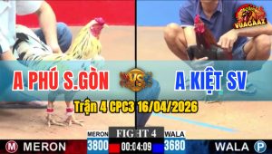 Trận 4 CPC3 16/04/2026 - Buông Đuôi Bướm Nạp Điều Hư Giò Hết Đứng