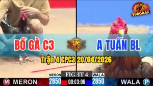 Trận 4 CPC3 20/04/2026 - Gà Của Bồ Quá Đẳng Cấp Hạ Đối Thủ Nhẹ Nhàng