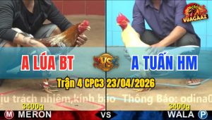 Trận 4 CPC3 23/04/2026 - Gà Đỏ Đá Cựa Quá Hiểm Hạ Gà Xanh Chồng Độ