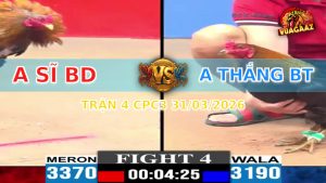 Trận 4 CPC3 31/03/2026 - Idol Quá Hừng Ra Thả Đá 3 Chân Đỏ La Miệng