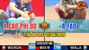 Trận 40 CPC3 11/04/2026 - BƯỚM ĐÂM QUÁ ĐÂM  BƯNG ĐIỀU RA SÂN