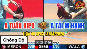 Trận 40 CPC3 14/04/2026 - Đỏ Chồng Độ 3 Quá Đẳng Cấp
