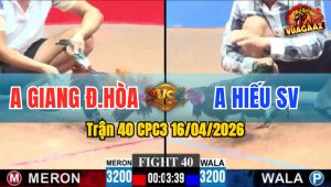 Trận 40 CPC3 16/04/2026 - Điều Khôn Khéo Hạ Xanh Nhanh Gọn