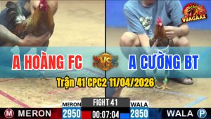 Trận 41 CPC2 11/04/2026 - Đỏ Phóng Ăn 6 Và Cái Kết Xanh Đá Gãy Chân Sau Tay Nước Đầu