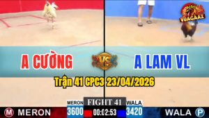 Trận 41 CPC3 23/04/2026 - Gà Điều Nạp Siết 1 Hơi Đỏ Lật Xe