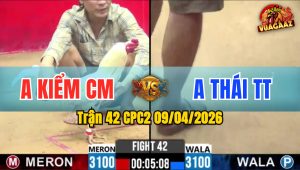 Trận 42 CPC2 09/04/2026 - Đỏ Đá Xanh Buôn Ra Cấm Đầu Phản Tang Ăn 2
