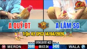 Trận 42 CPC3 14/04/2026 - Cú Đâm Như Cái Máy Vài Chân Bướm Nằm 1 Đống