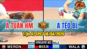 Trận 42 CPC3 16/04/2026 - Điều Nạp Xiết  Bướm Gãy Giò Buông Chạy