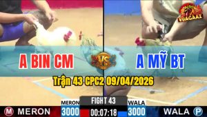 Trận 43 CPC2 09/04/2026 - Bướm Đâ Chuối Nằm Biệt Sau 3 Tay Nước Bưng Ra