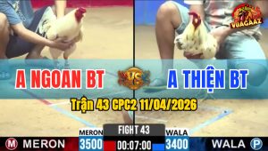 Trận 43 CPC2 11/04/2026 - Đỏ Trả Chân Xanh Nằm Ói Phản Tang