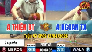 Trận 43 CPC2 12/04/2026 - Bướm Tung Chân Khét Nằm 1 Chỗ