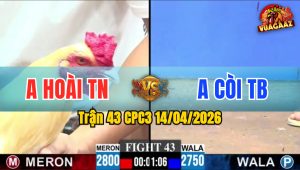 Trận 43 CPC3 14/04/2026 - Đỏ Ói Vẫn Phản Chân Xl Xanh Té Xỉu
