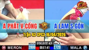 Trận 43 CPC3 16/04/2026 - Điều Nạp Úa gãy Giò Chưa Tới 1 Tay Nước