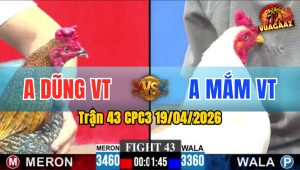 Trận 43 CPC3 19/04/2026 - Đỏ Gẫy Chân Nhưng Vẫn Trả Chân Phản Ăn 1