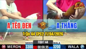 Trận 44 CPC2 11/04/2026 - Điều Ra Chân Quyết Định Bướm Lật Xe Nằm Liệt