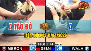 Trận 44 CPC3 11/04/2026 - CHUỐI A TẢO ĐÓ ĐÁ CỰA HƠN  RINH CHUỖI XANH RA SÂN