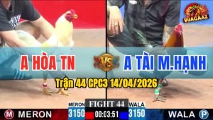 Trận 44 CPC3 14/04/2026 - Điều Cầm Tiền Trên Tay Còn Đánh Rơi Đáng Tiếc