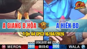 Trận 44 CPC3 16/04/2026 - Cú Đâm Chân Hiểm  Bưng Khét Chưa Tới 1 Tay Nước